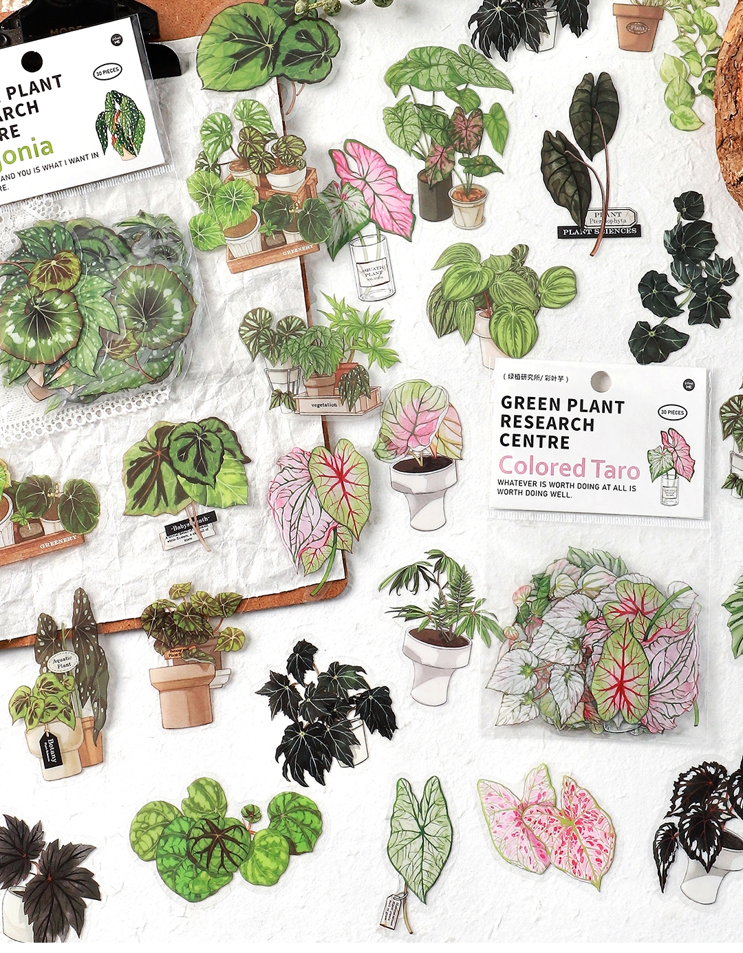 IFM INS Green Plant Research Centre Series Deco Stickers Botanical ...
