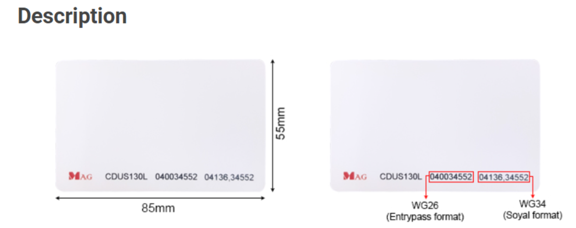 MAG UHF 6C Long Range Card 919MHz Not Writable Different Number Not in ...