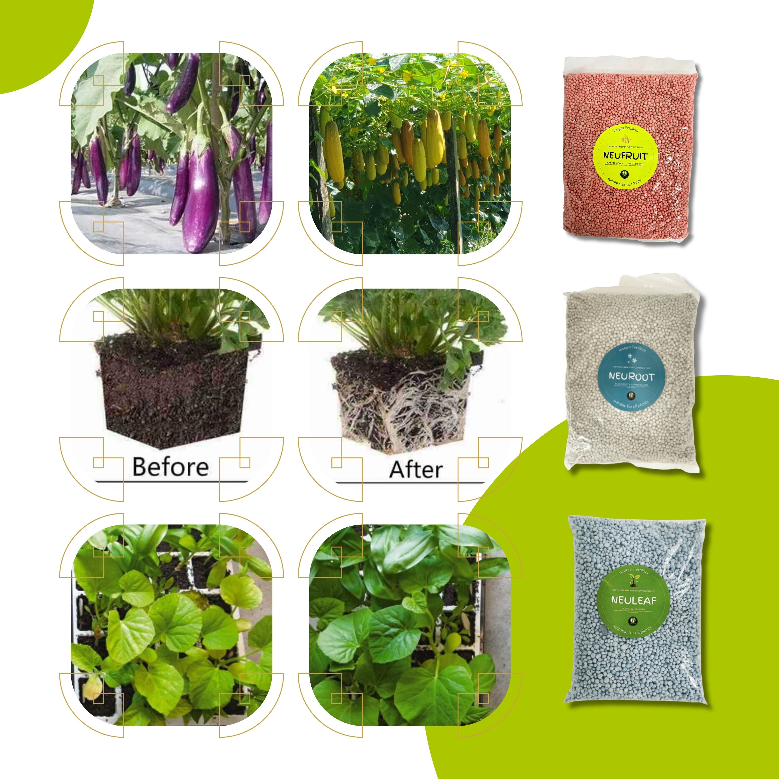 NEUROOT Baja Bunga & Akar (700g) Flower & Root Phosphorous Rich ...