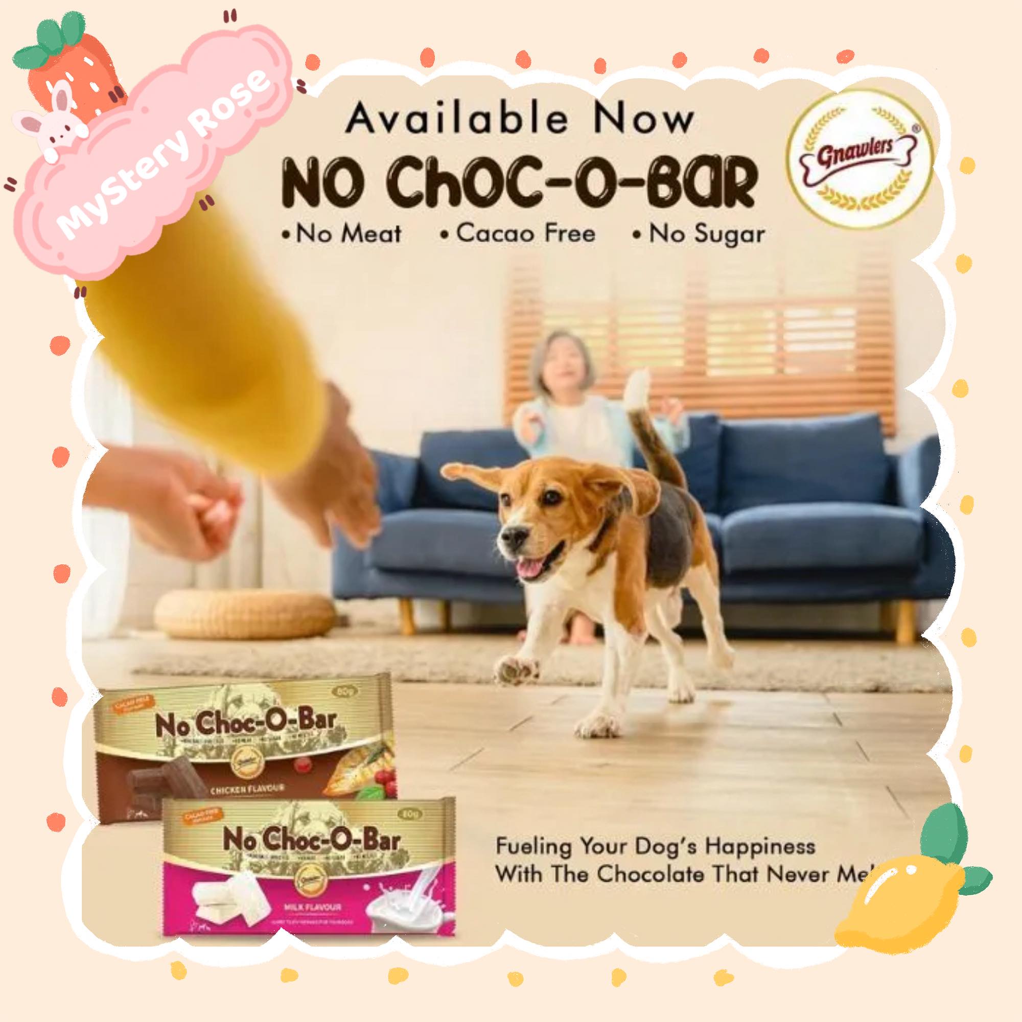 No Chocolate For Dogs Treats Policy preview