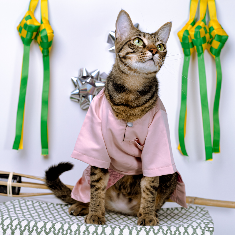[BUATAN MAS] PINK Premium Baju Melayu Kucing Baju Kurung Baju Raya ...
