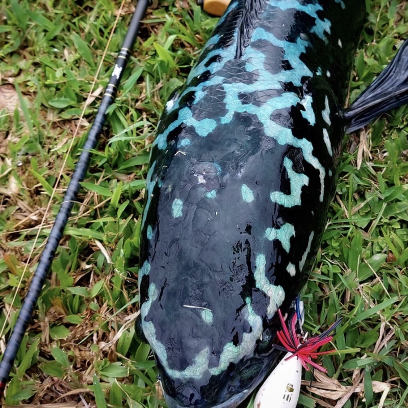 2024 New EXP IRONCLAD Baitcast & Spinning Fishing Rod BC Baitcasting ...