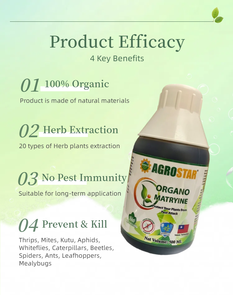 AGROSTAR Organo Matryine Organic Insecticide Effective For All Plants ...