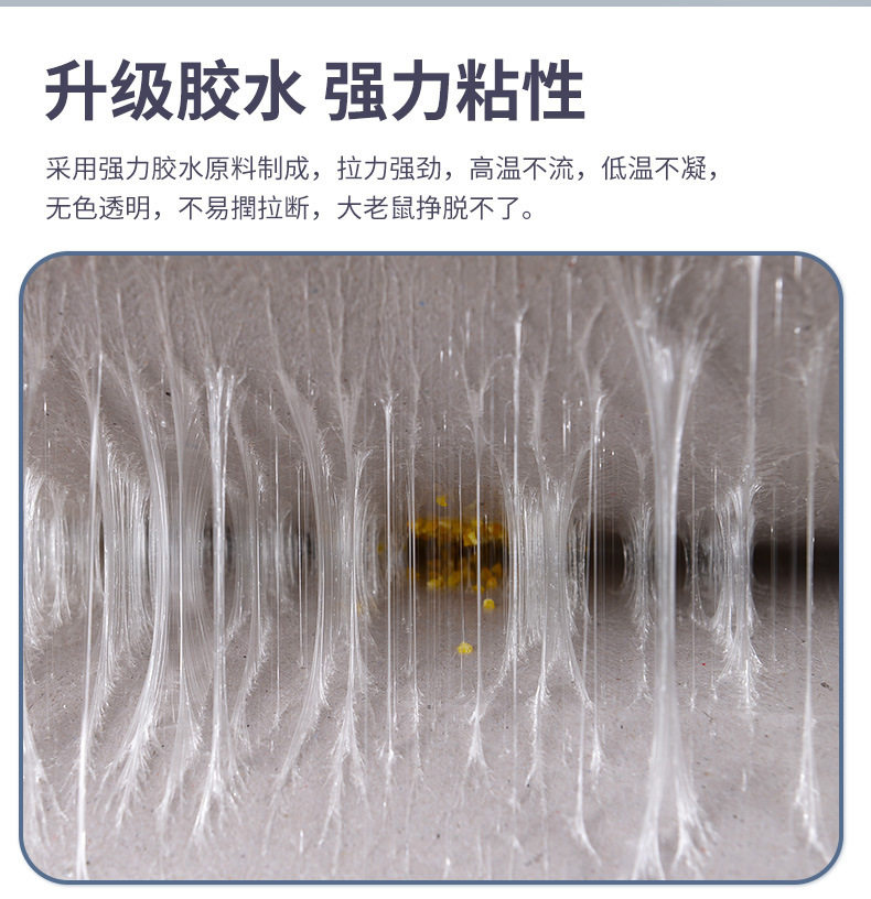 强效粘鼠胶 Super Stick Mouse Glue Trap (5 pcs) 灭鼠器 粘鼠贴 Rat Repellent 防老鼠 防蟑螂 ...
