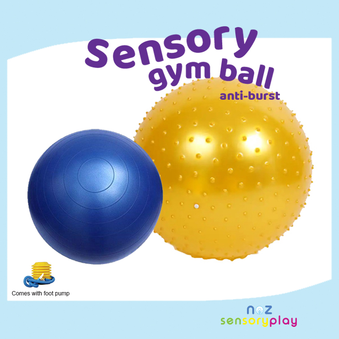 Sensory Gym Ball Anti Burst Ball 75cm 100cm Smooth or Gentle spiky textured Shopee Malaysia