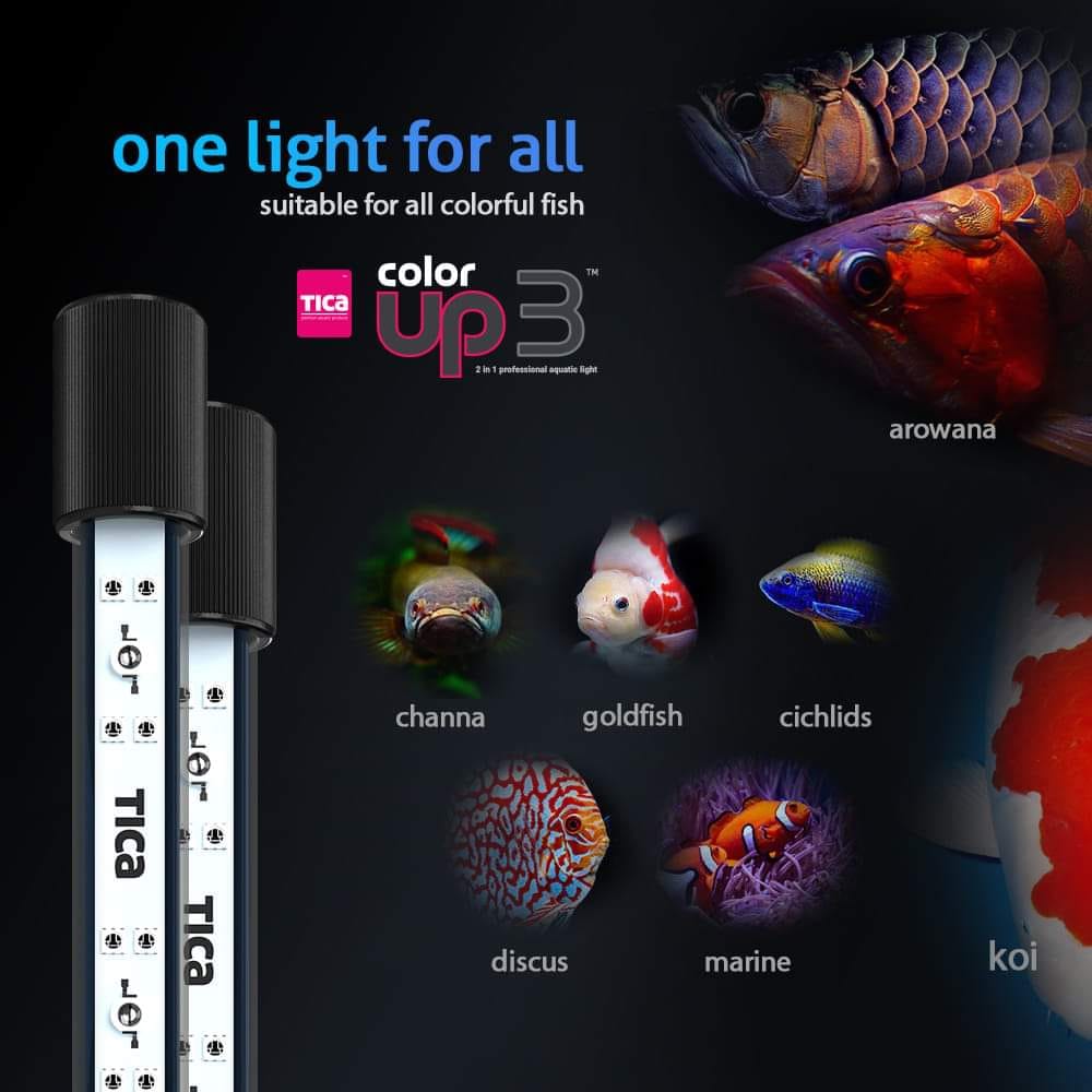 🔥HOT🔥 TICA Color Up 3 / Ultra Color Pro / Color Up 2 Aquatic Light ...