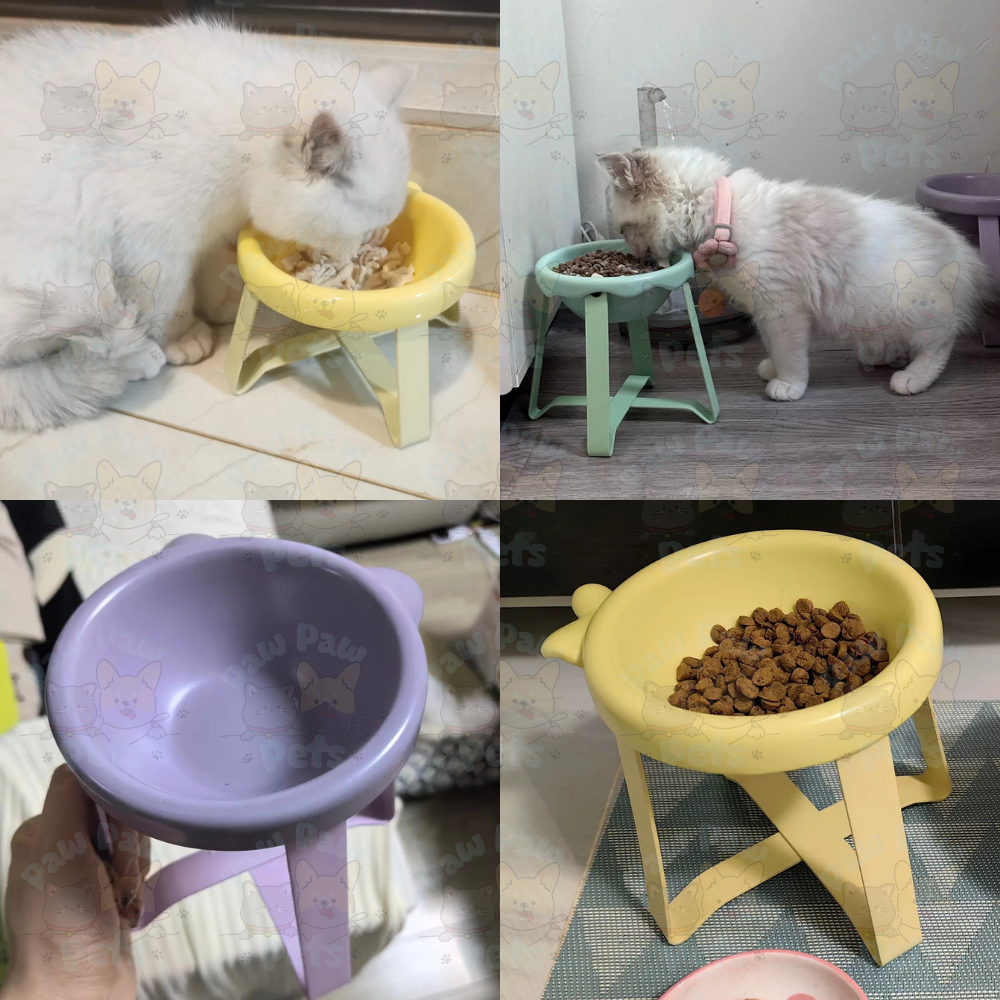 FLUFFY CREAM Pastel Pet Cat & Dog Ceramic Elevated Feeding Bowl with ...