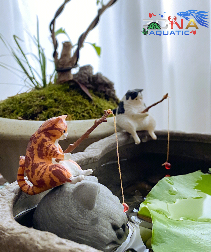 Picture of READY STOCK | FISHING CAT ORNAMENTS DECORATION | FOR AQUARIUM ...