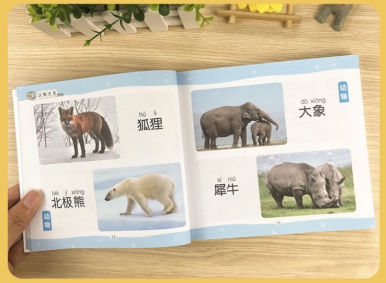 【认物大全 】大字注音 认动物水果蔬菜形状颜色标志幼儿童早教启蒙看图识字 Children Chinese Character English ...