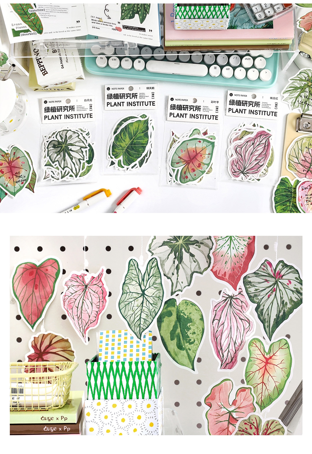 IFM INS Green Plant Institute Series Memo Note Paper Botanical Tropical ...