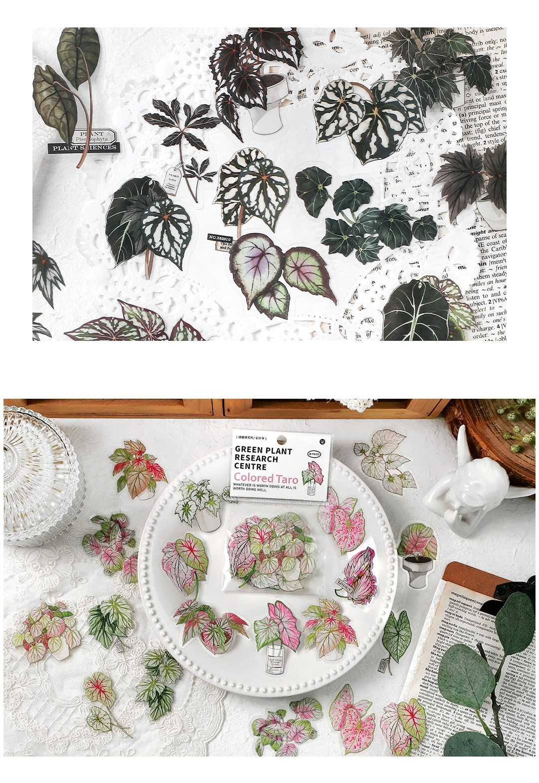 IFM INS Green Plant Research Centre Series Deco Stickers Botanical ...