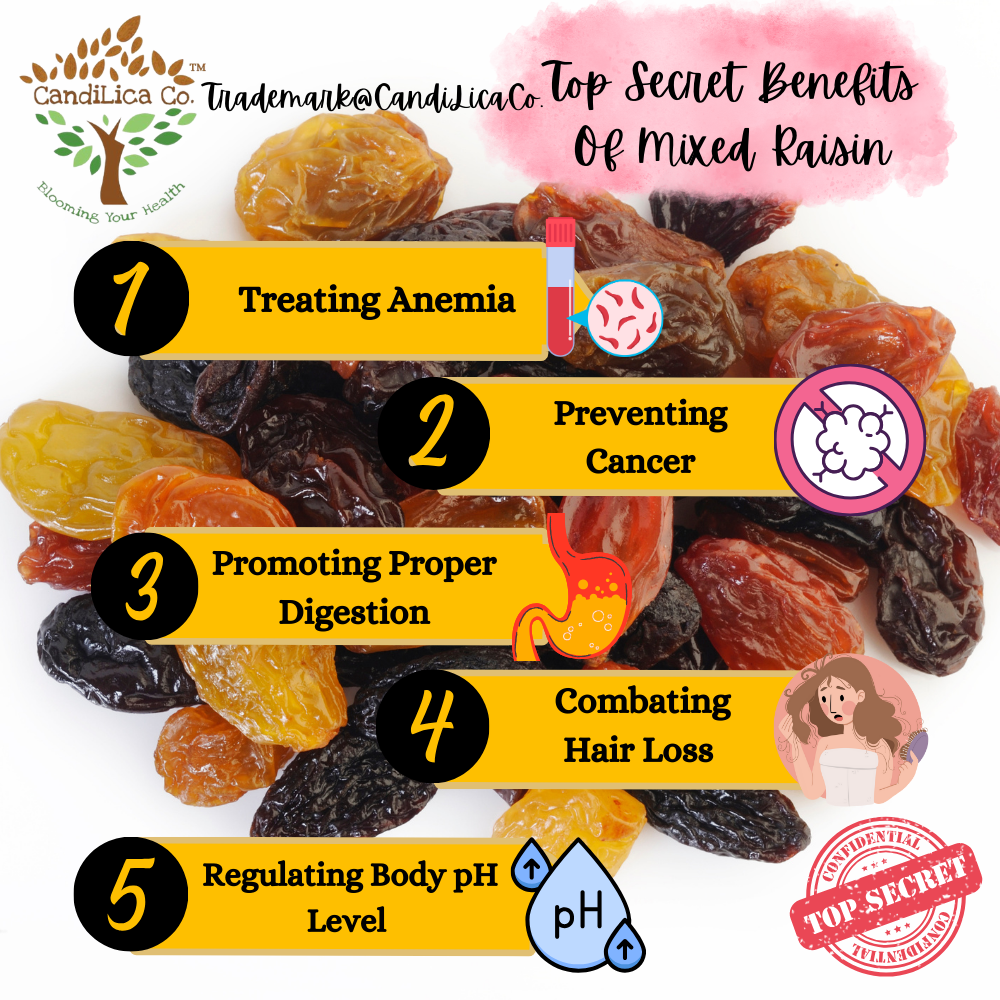 CandiLica Co. Premium Mixed Raisin – Product of Iran – Healthy Snacking ...