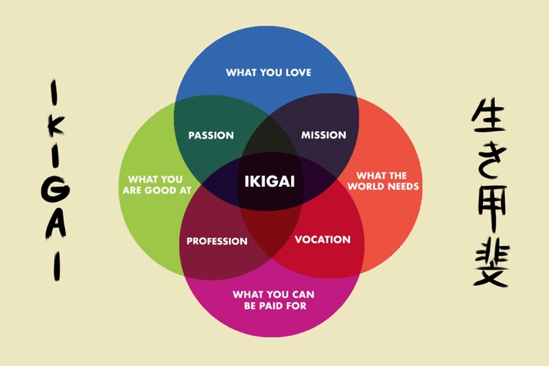 Ikigai : The Japanese Secret to a Long and Happy Life - Novel - English ...