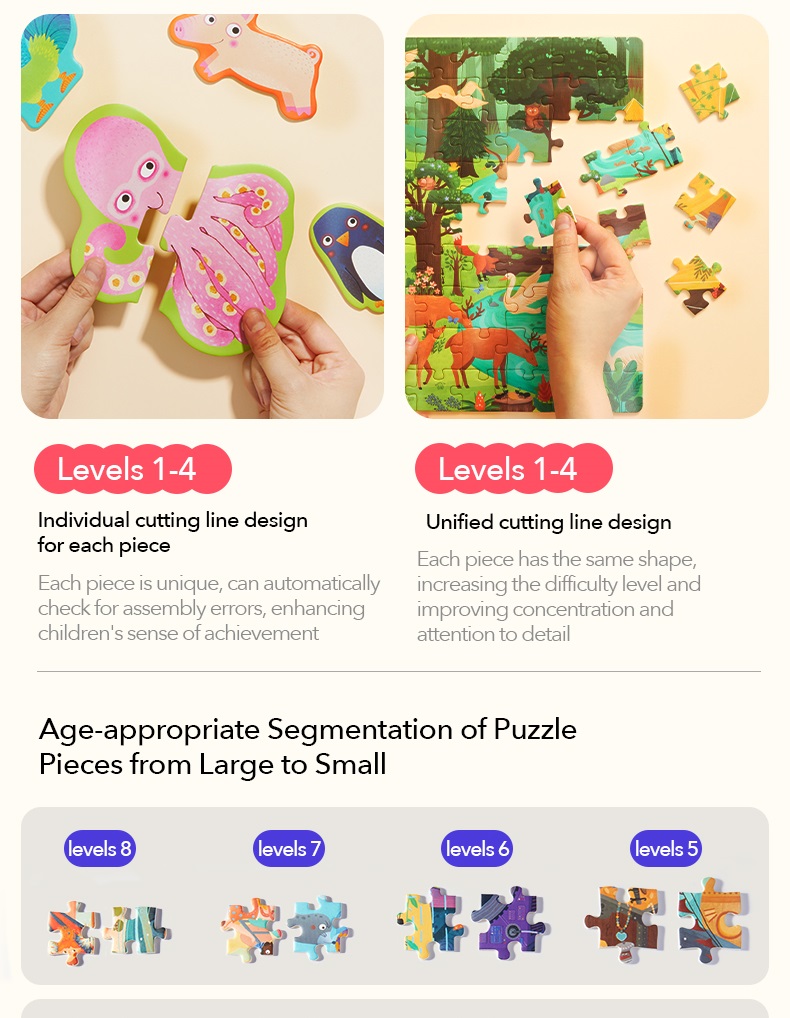 Mideer Evolution Advanced Puzzle - Level 1 to Level 9 | Shopee Malaysia