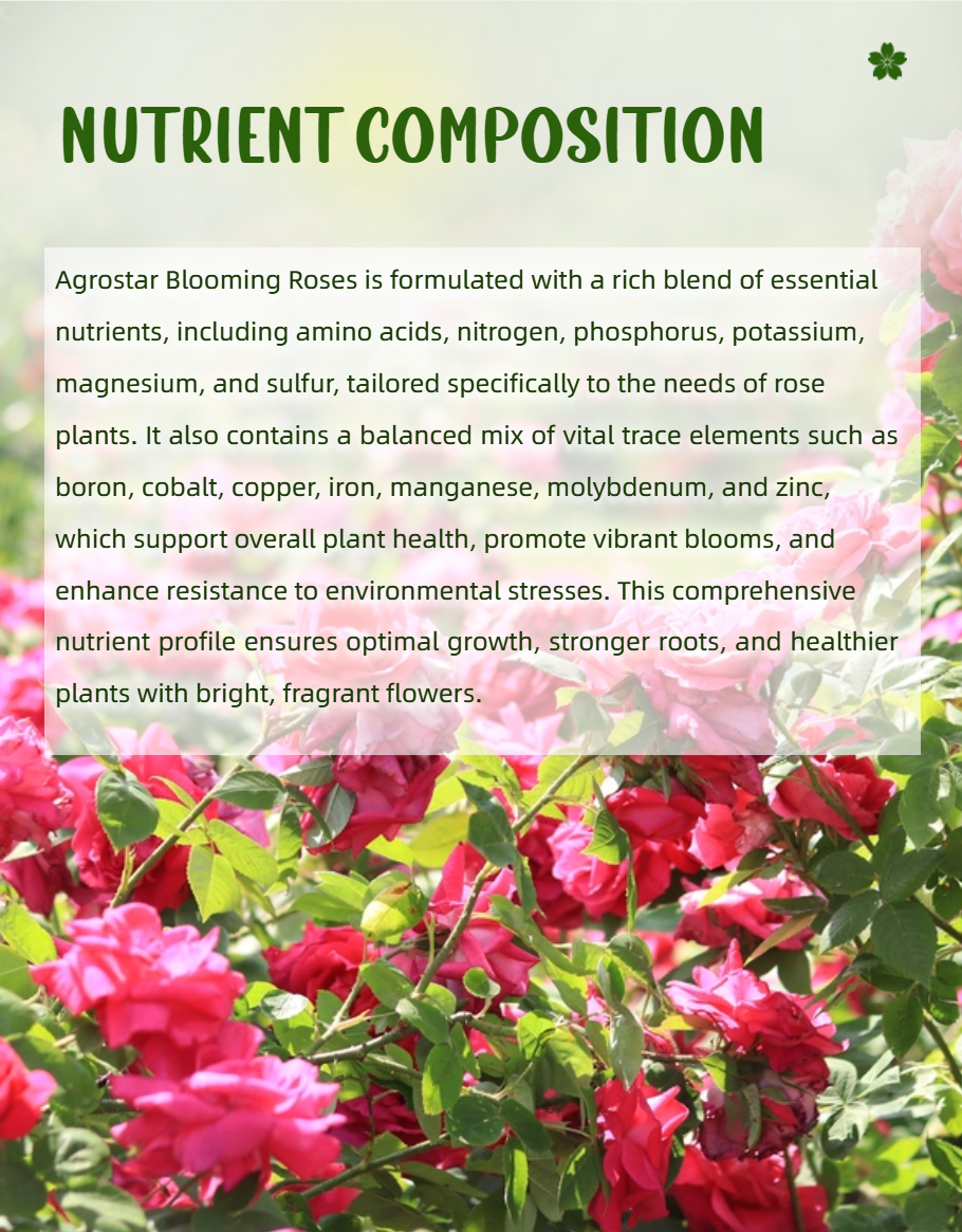 AGROSTAR Blooming Roses Completed With Nutrients Special Formulated For ...