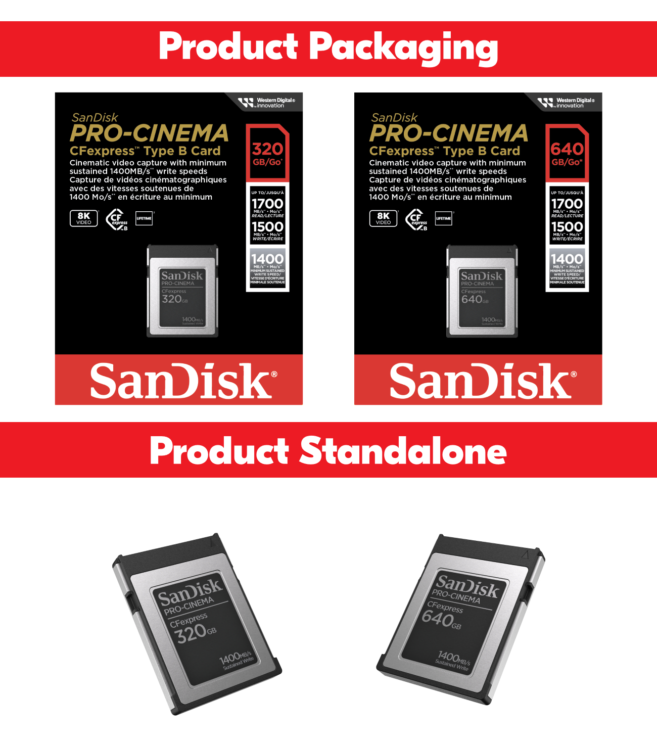 SSD SanDisk Fusion IoDuo 320 Go MLC - Interface PCI Express - Interne