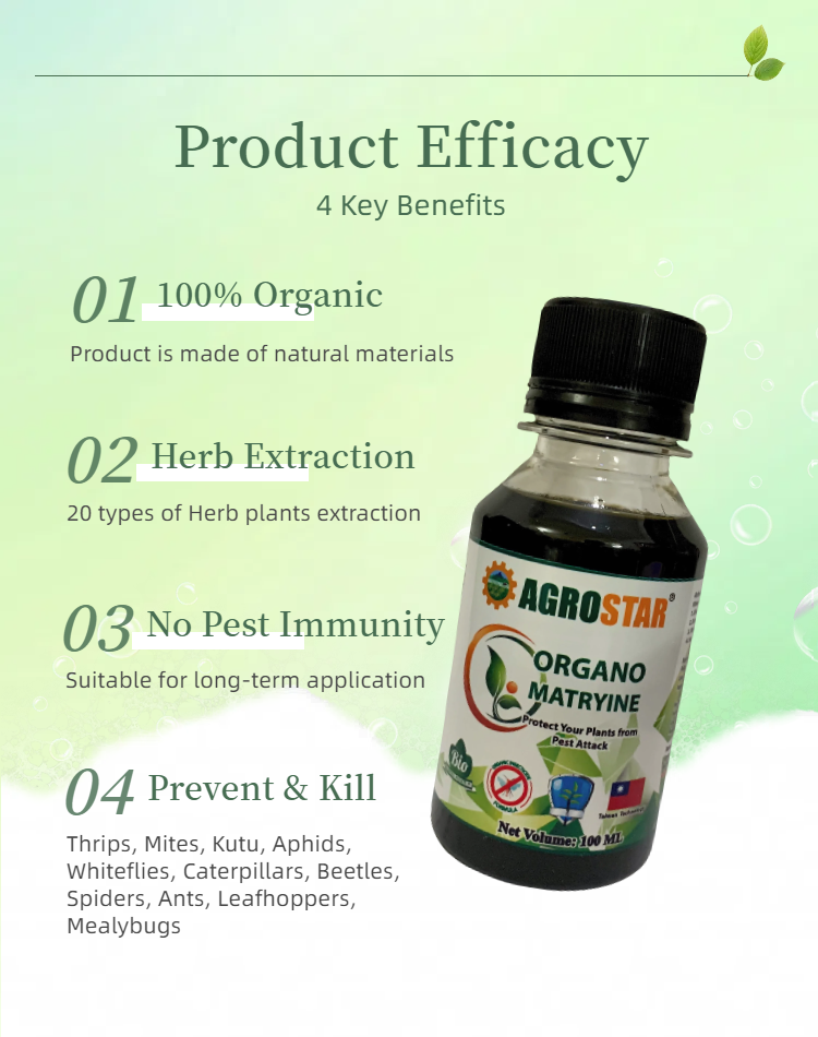 AGROSTAR Organo Matryine Organic Insecticide Effective For All Plants ...