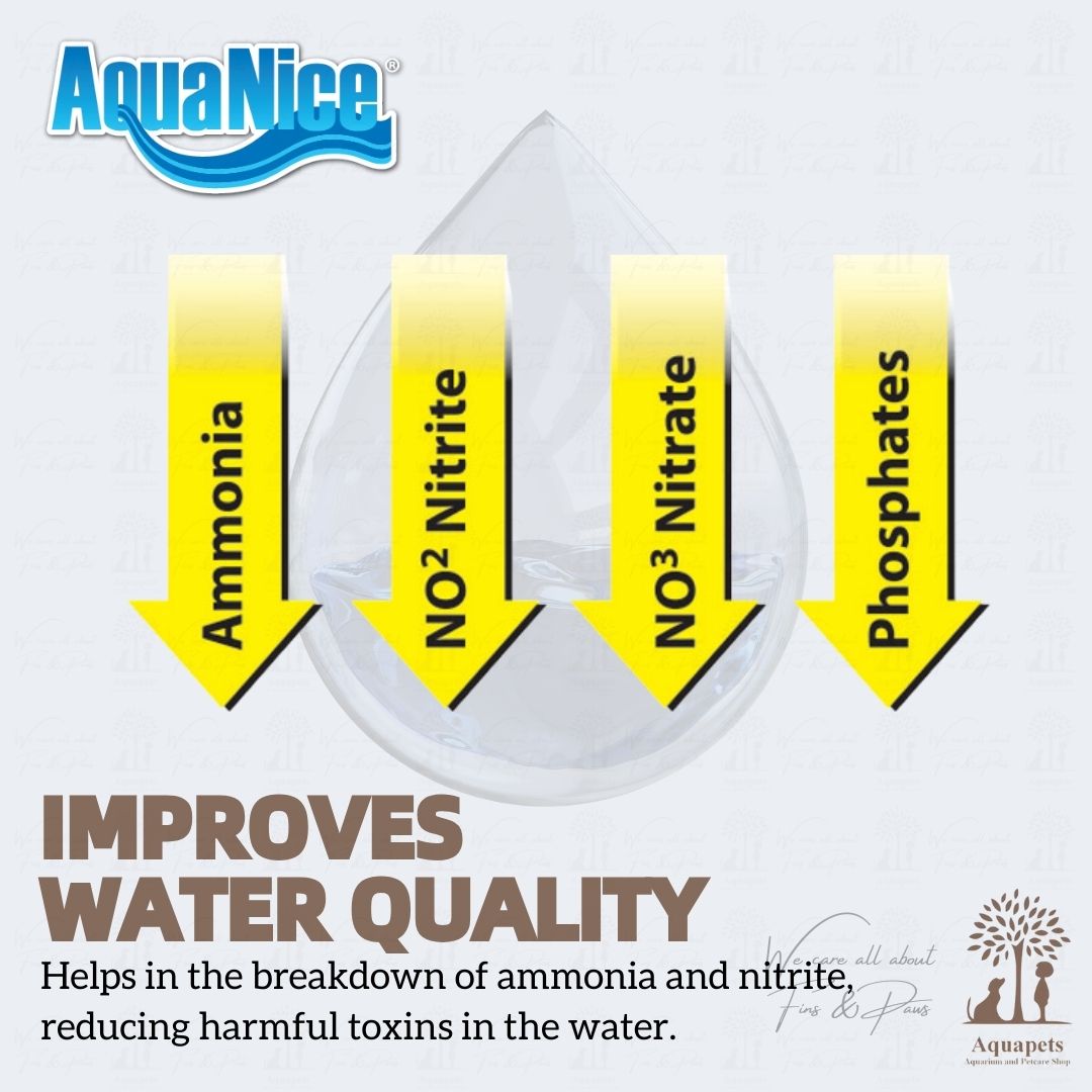 Curated visual reference: Picture Idea: Aquanice H2O Bio Balance Super Bacteria Water Conditioner Liquid Ammonia