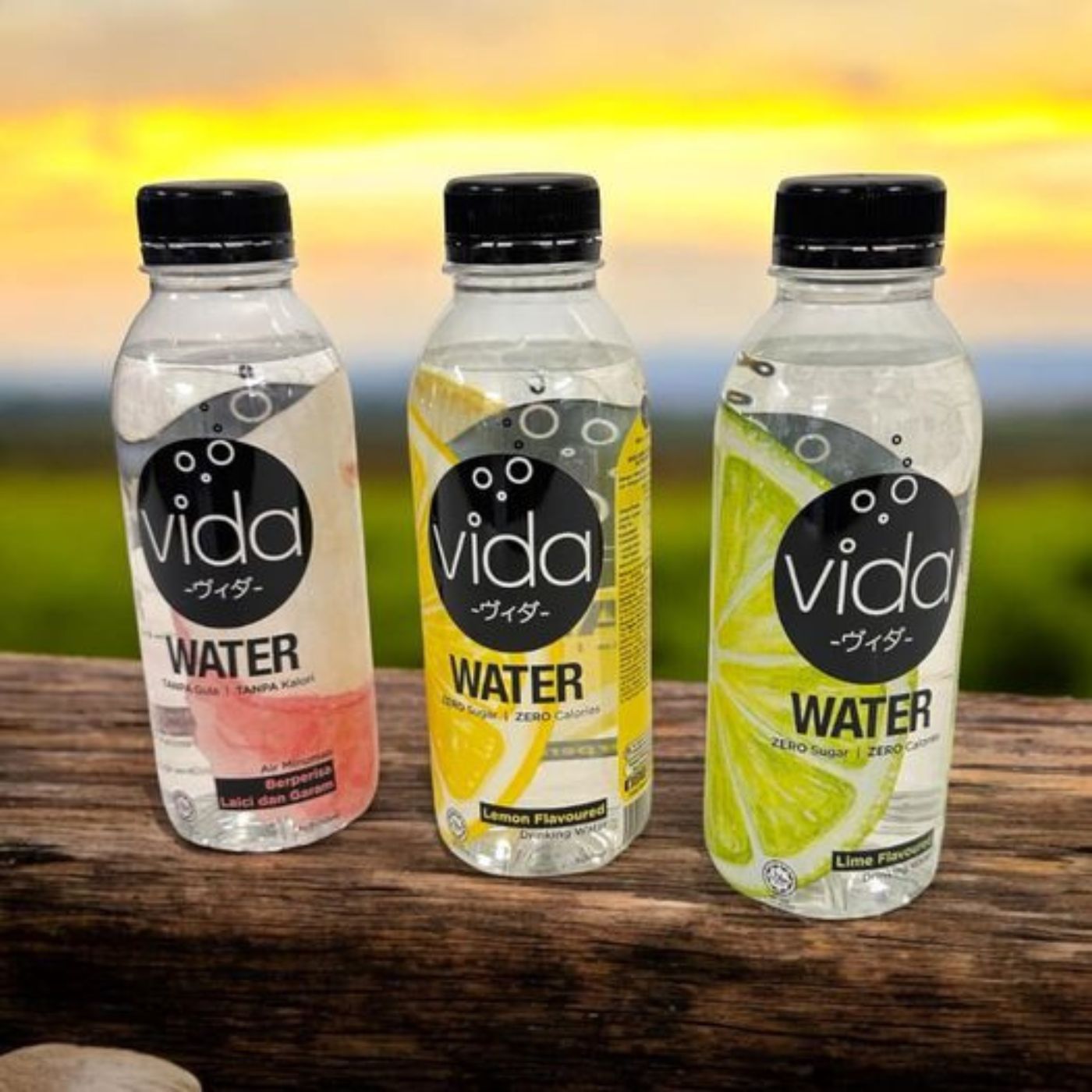 Vida Water Assorted Flavours 500ml | Shopee Malaysia