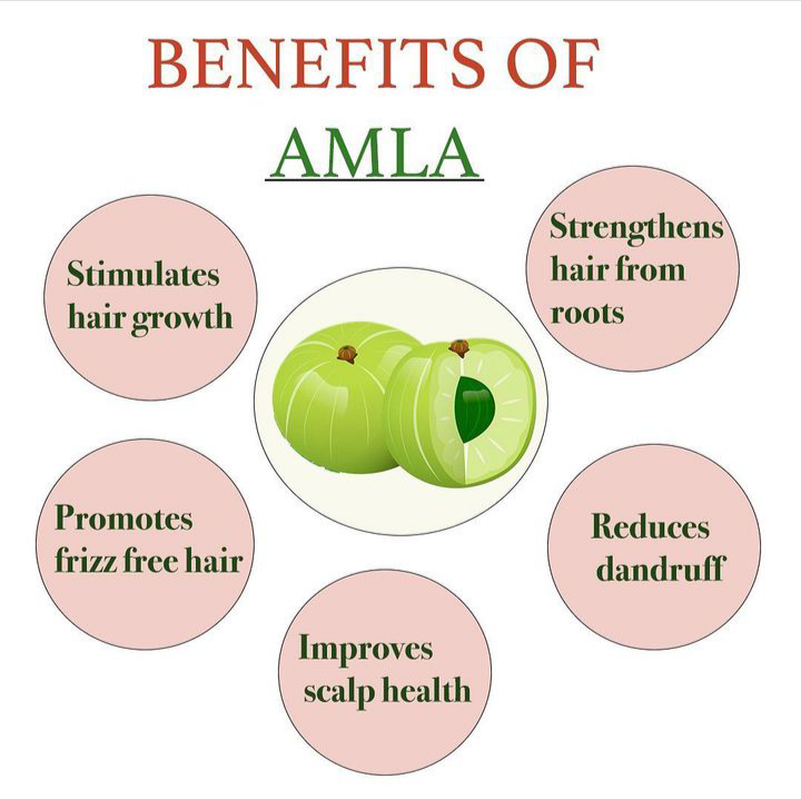 PURE NATURAL AMLA (AMLAKI) POWDER (INDIAN GOOSEBERRY) 200 GMS (Serbuk ...