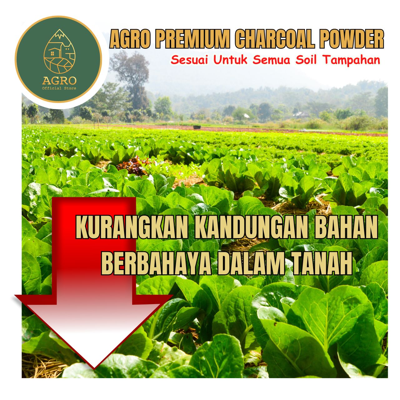 Agro Premium 100% Natural Actived Charcoal Powder Serbuk Arang Tanah ...