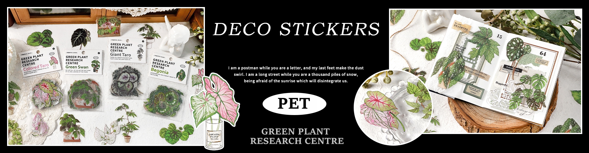 IFM INS Green Plant Research Centre Series Deco Stickers Botanical ...