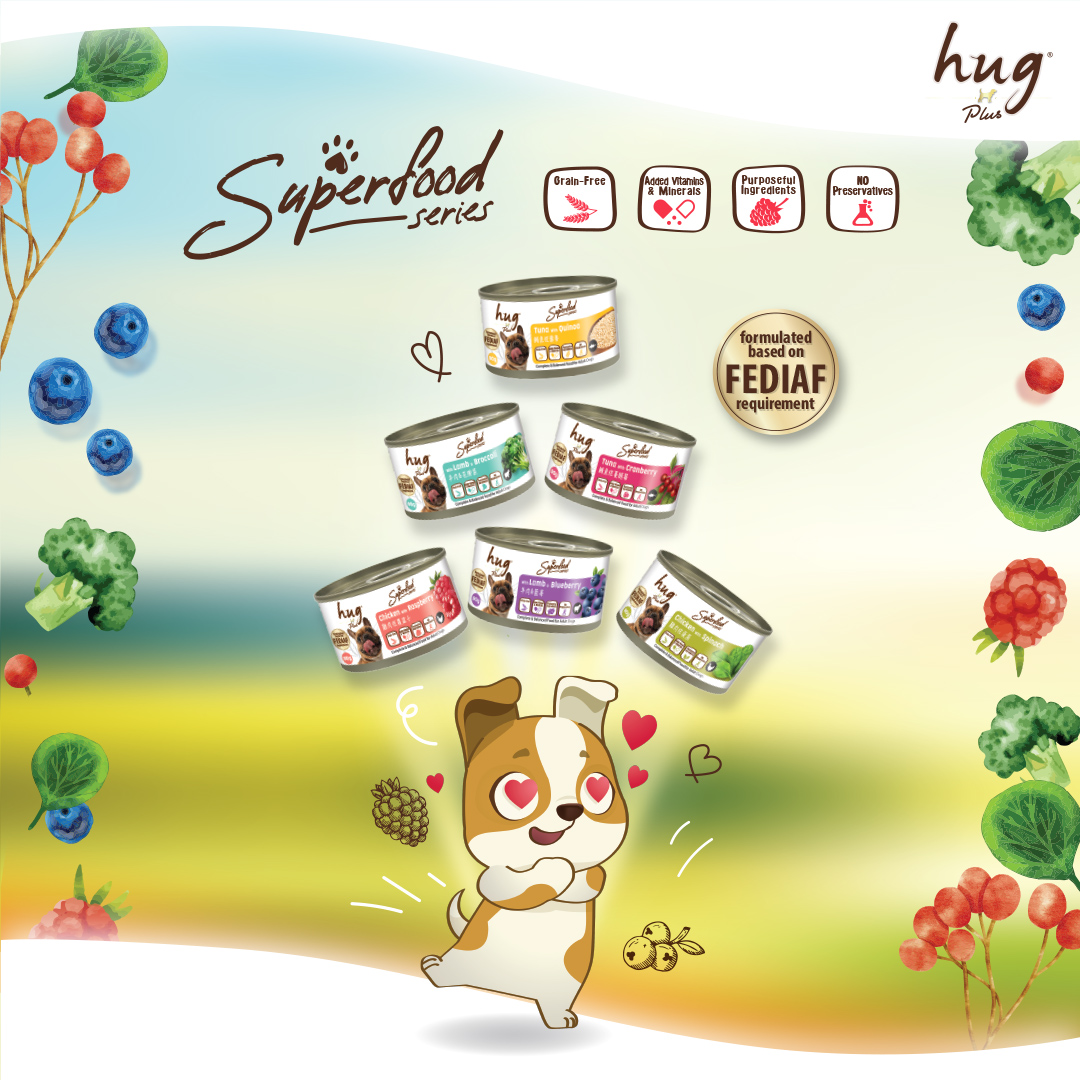 Hug Superfood Series Dog Canned 90g / Can Food / Dog Food / Wet Food ...