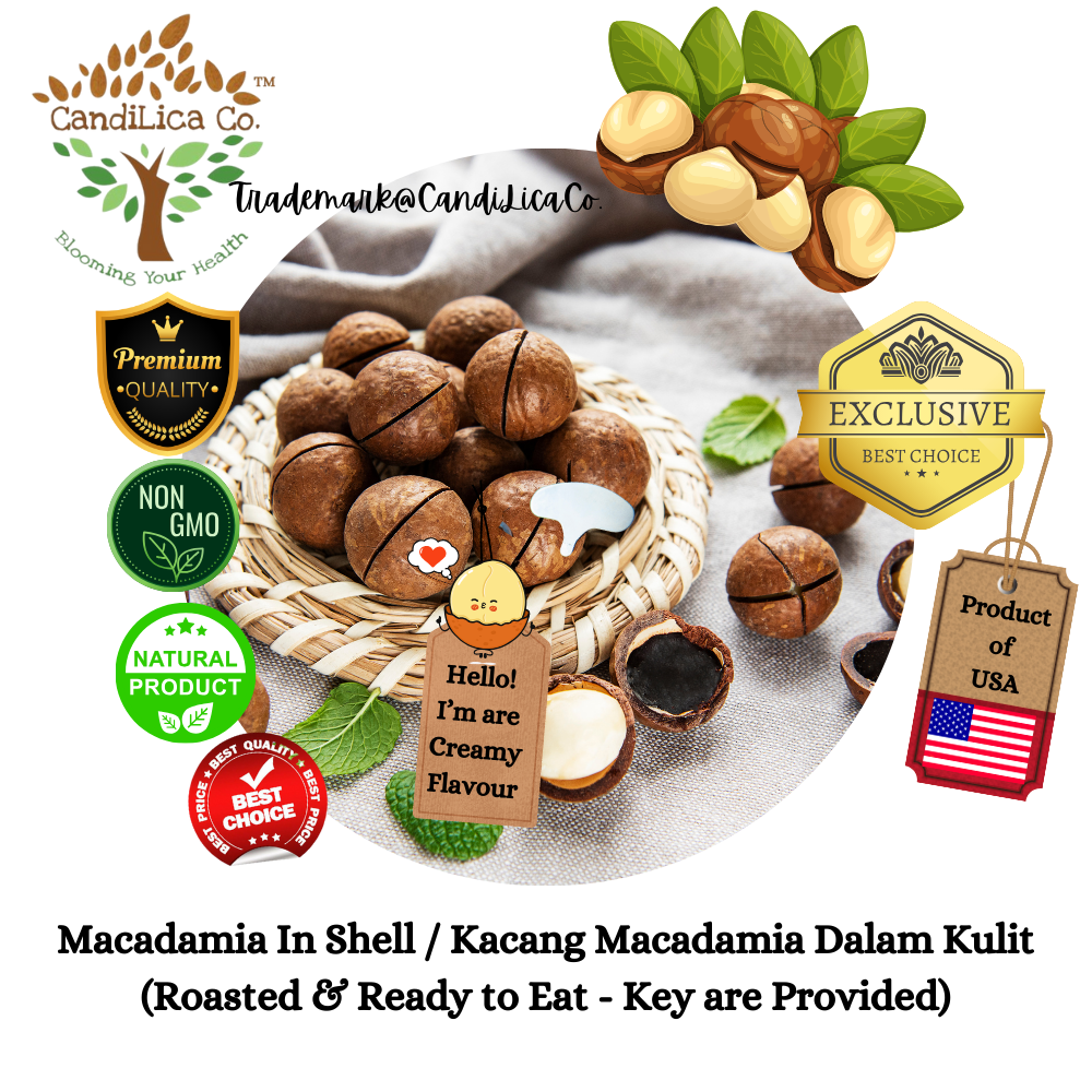 Roasted Macadamia In Shell | Kacang Macadamia Dalam Kulit | 烘烤夏威夷果 ...