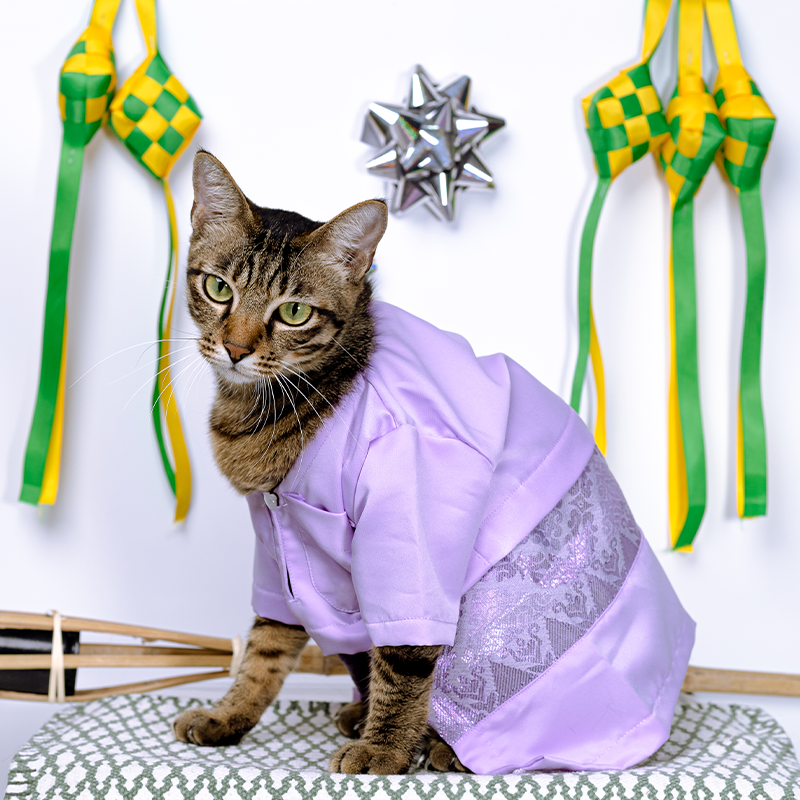 [BUATAN MAS] PURPLE Premium Baju Melayu Kucing Baju Kurung Baju Raya ...