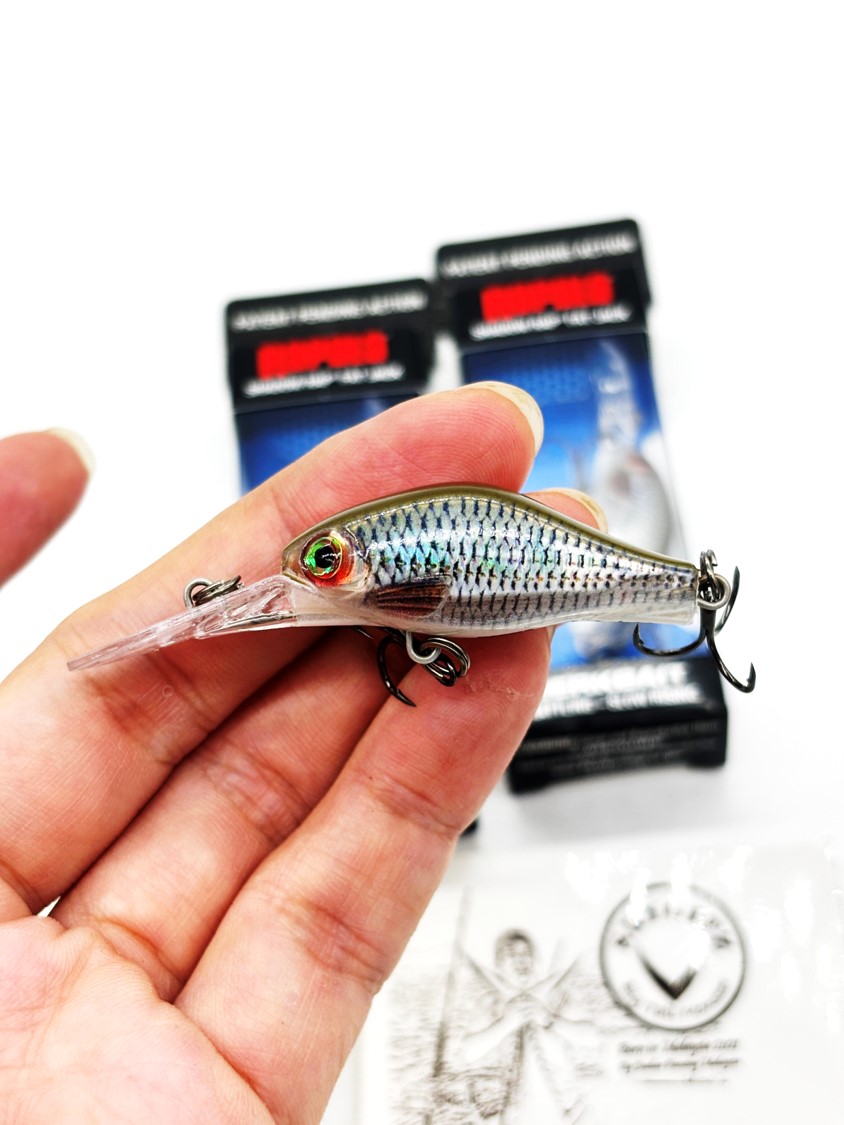 Leurre Flottant Rapala Shadow Rap Fat Jack 04 – 40 Mm – 4g – Couleur DRFJ04/ROL