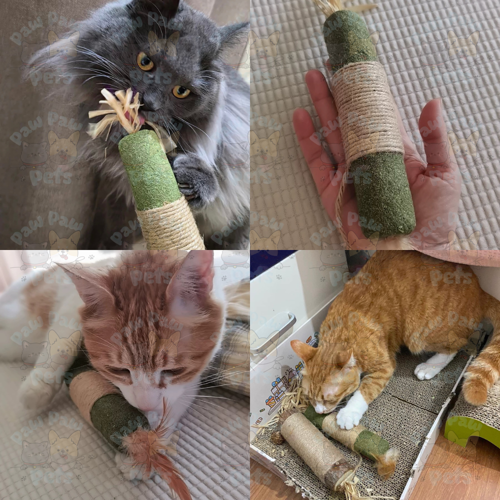 Catnip Wood Stick Hemp Rope Gall Fruit Teeth Molar Cat Clean Grind ...