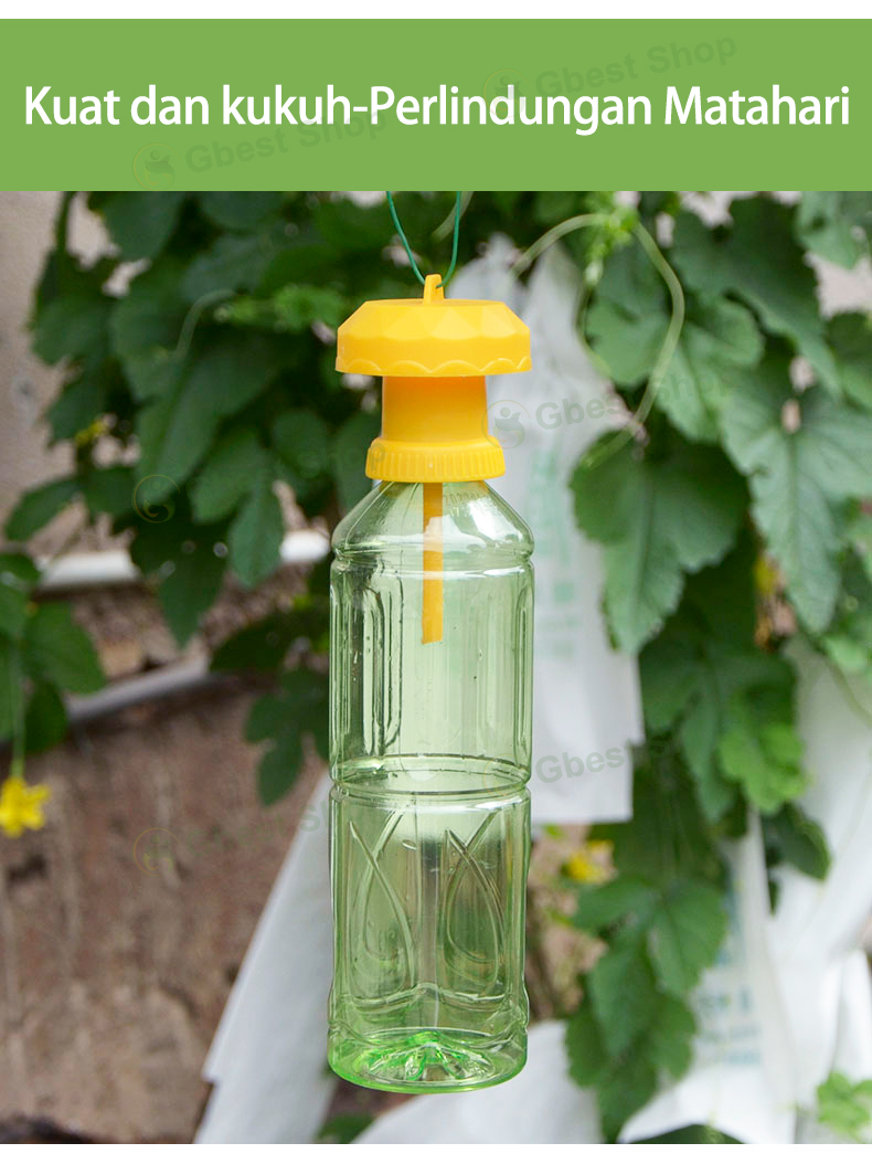 Stunning Removing Fruit Fly Attractants image