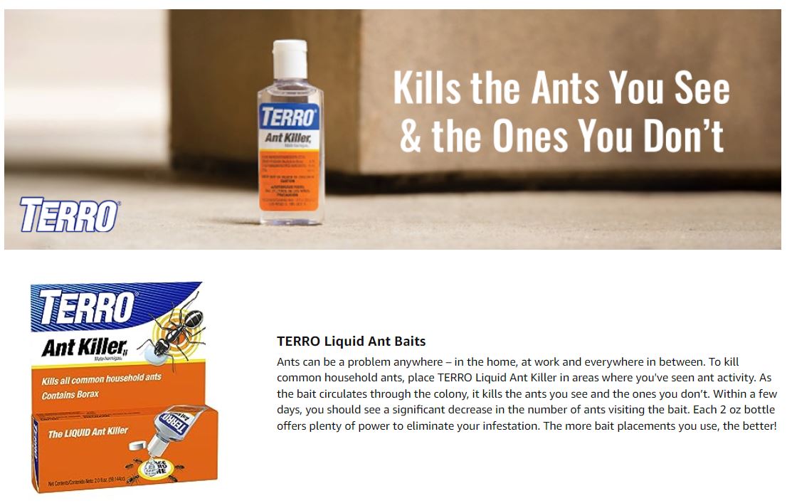 Best ant bait