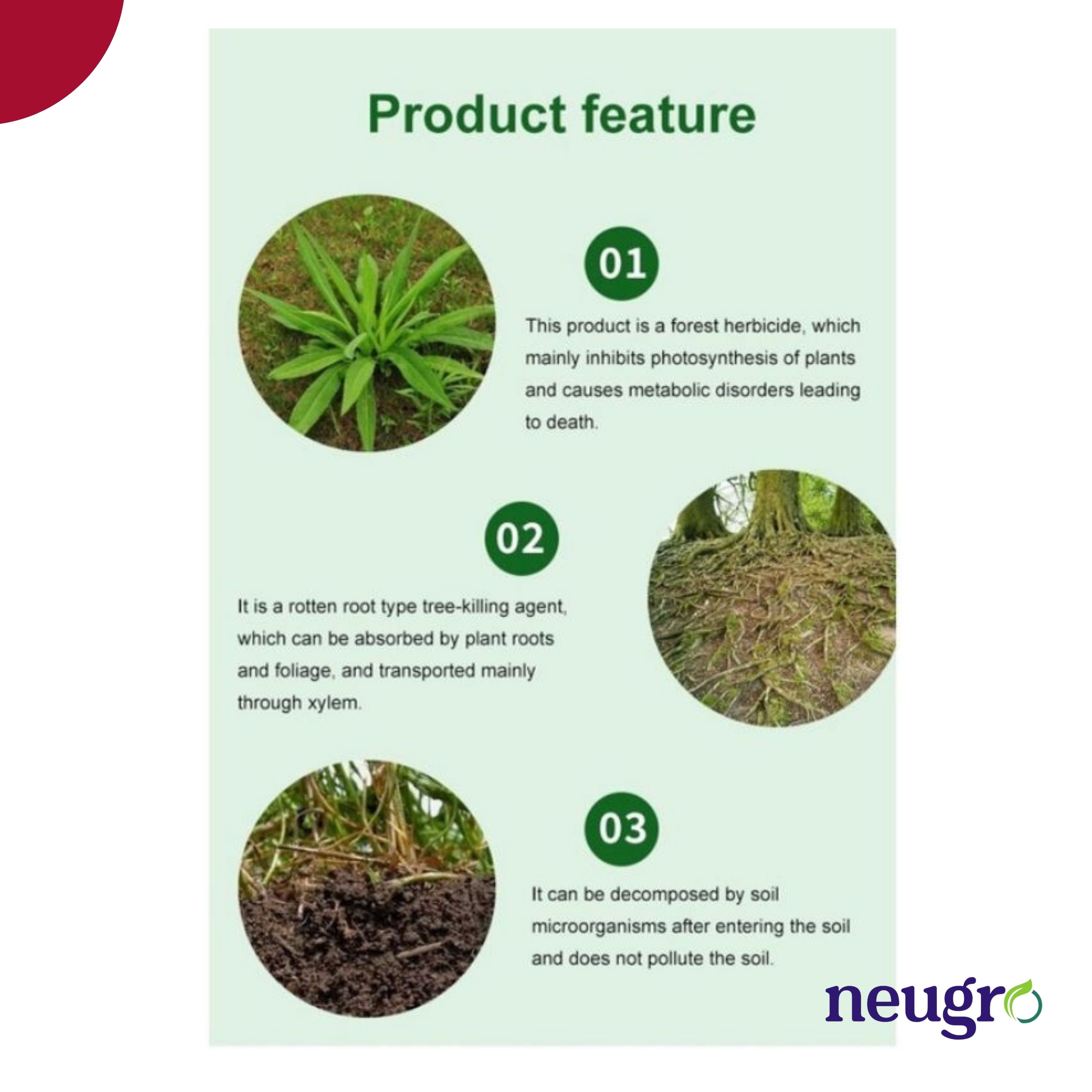 Racun Rumput Mati Akar Racun Rumpai Weed Killer/Racun Rumput Berkesan ...