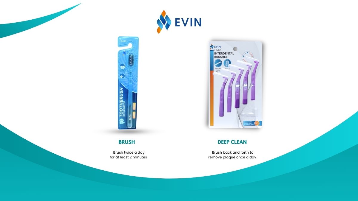 Evin Oral Toothbrush Orthodontic for Braces and Dental Bridges | Shopee ...