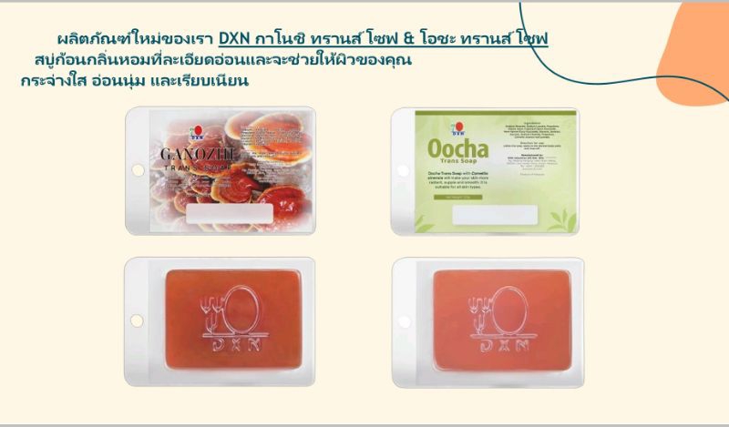PC073DXN Ganozhi Trans Soap & Oocha Trans Soap1 bar x 120g | Shopee ...