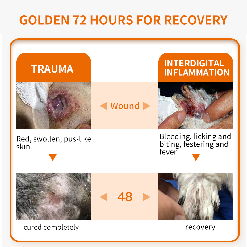 Puainta Skin Wound Spray 30ml - Heal Disinfectant, Analgesic and ...