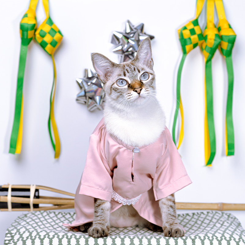 [BUATAN MAS] PINK Premium Baju Kurung Kucing Baju Melayu Baju Raya ...