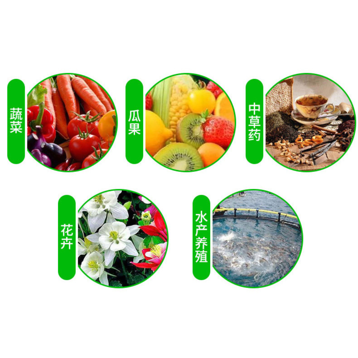 Effective Microorganisms EM菌 发酵菌EM菌分解EM菌 Effective Microorganisms ...