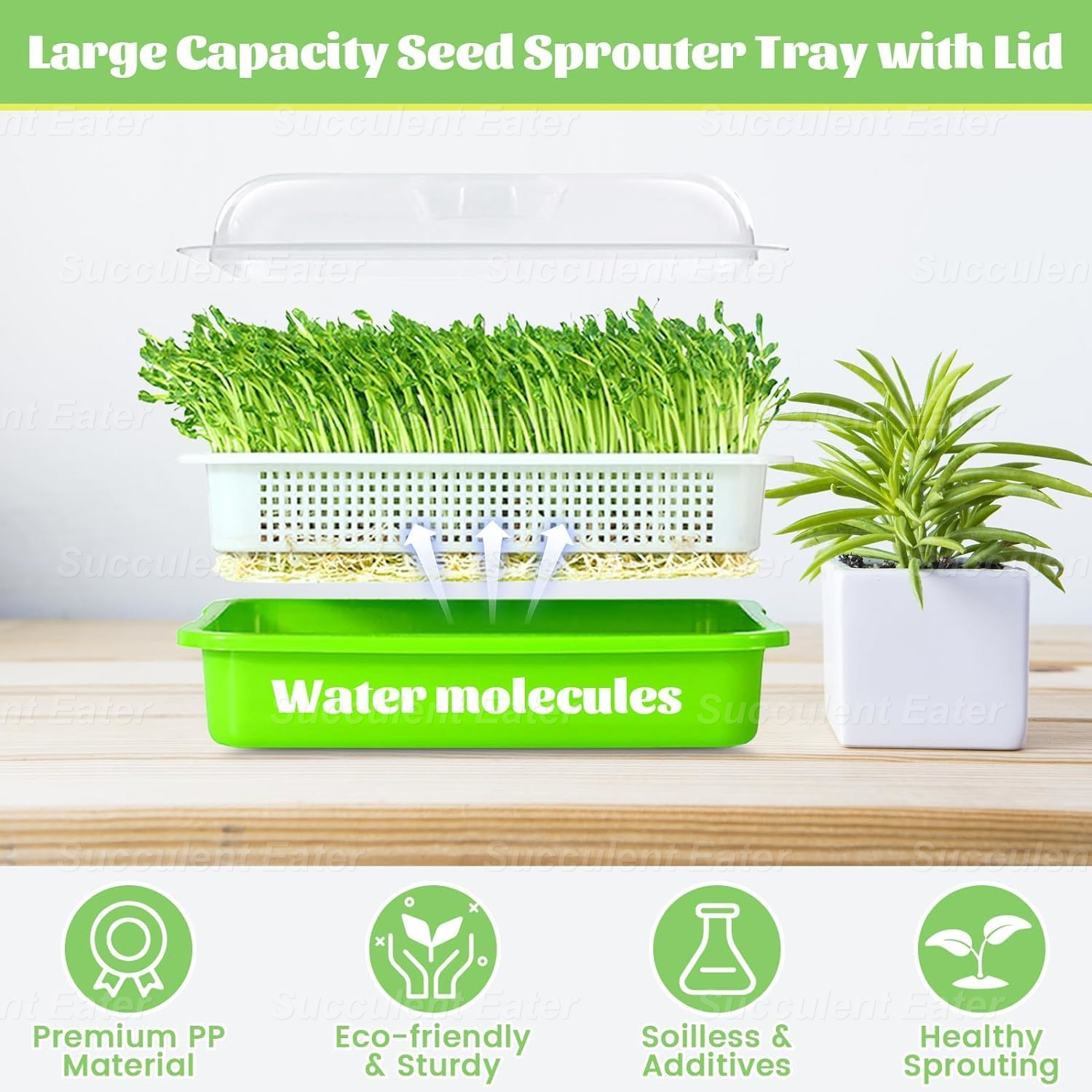 Sprouting Tray Microgreen Tray Double Layer Cat Grass Seedling ...