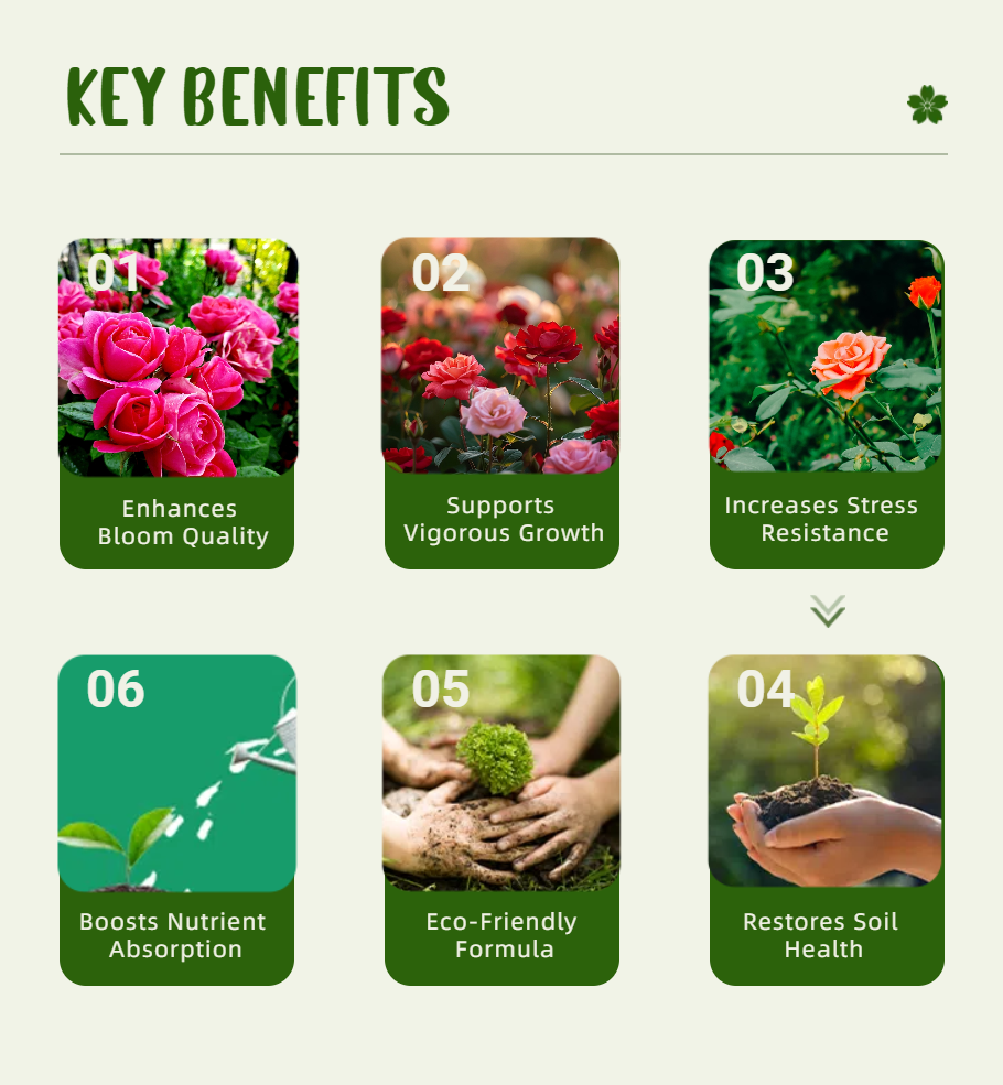 AGROSTAR Blooming Roses Completed With Nutrients Special Formulated For ...