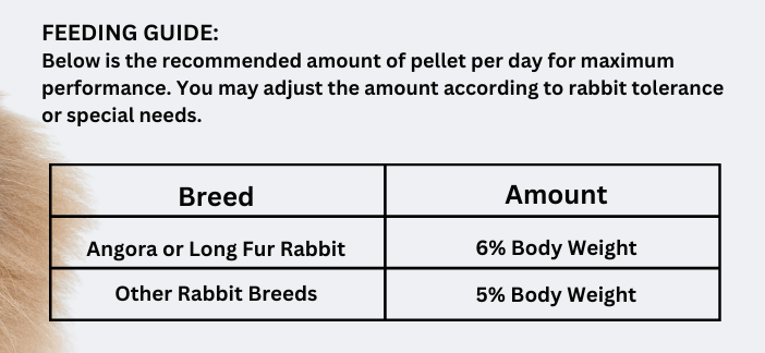 Legacy Professional Performance Rabbit Food (1.8kg/bag) 赛级兔饲料 | Shopee ...