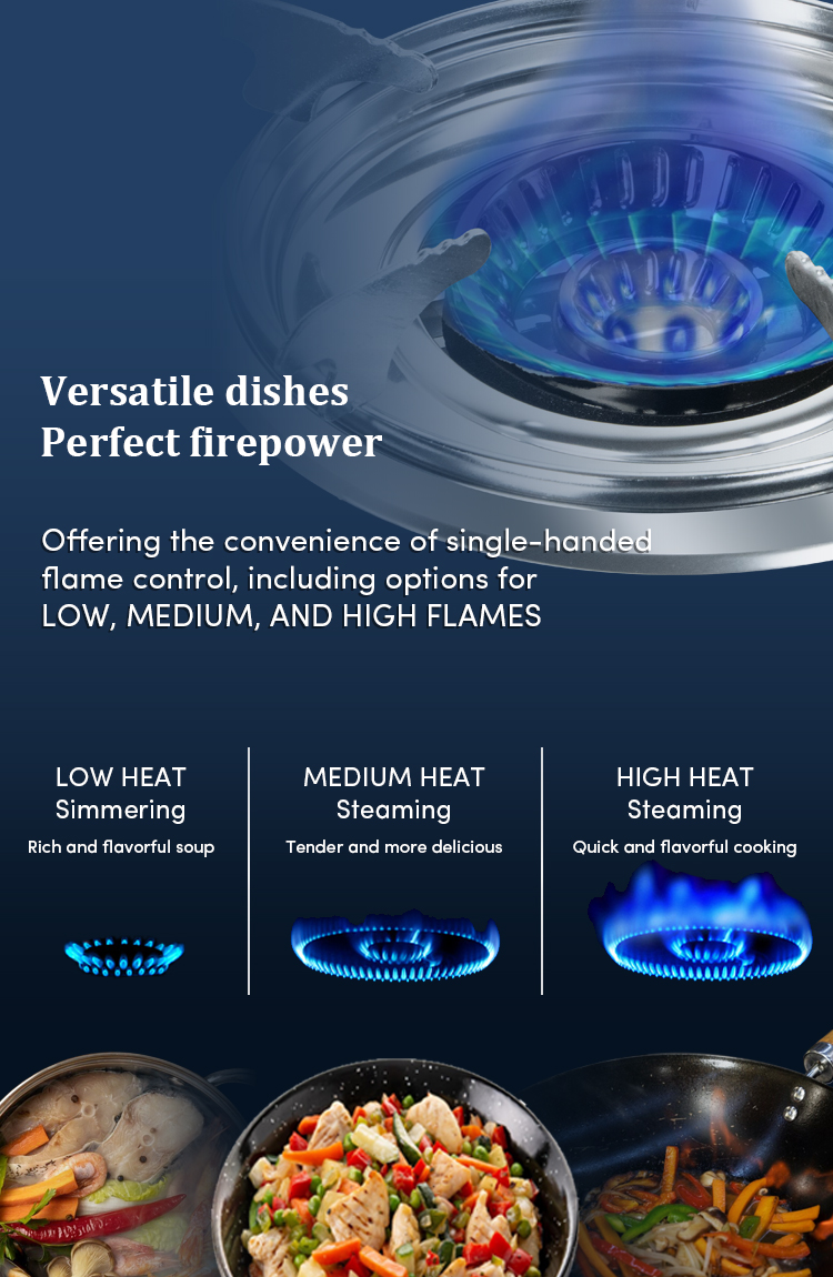 Riino Stainless Steel Infrared Gas Stove BW2034 Upgraded Stainless