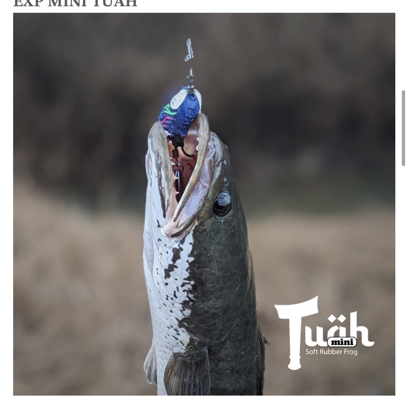 【Jom Pancing】EXP EXPERT TUAH JEBAT Top Water Soft frog,Snakehead Haruan ...
