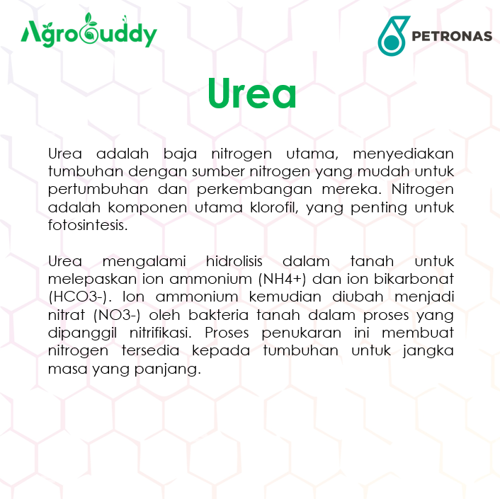 AgroBuddy 1kg Premium Petronas Urea Fertilizer 46%N | Baja Pokok, Daun ...