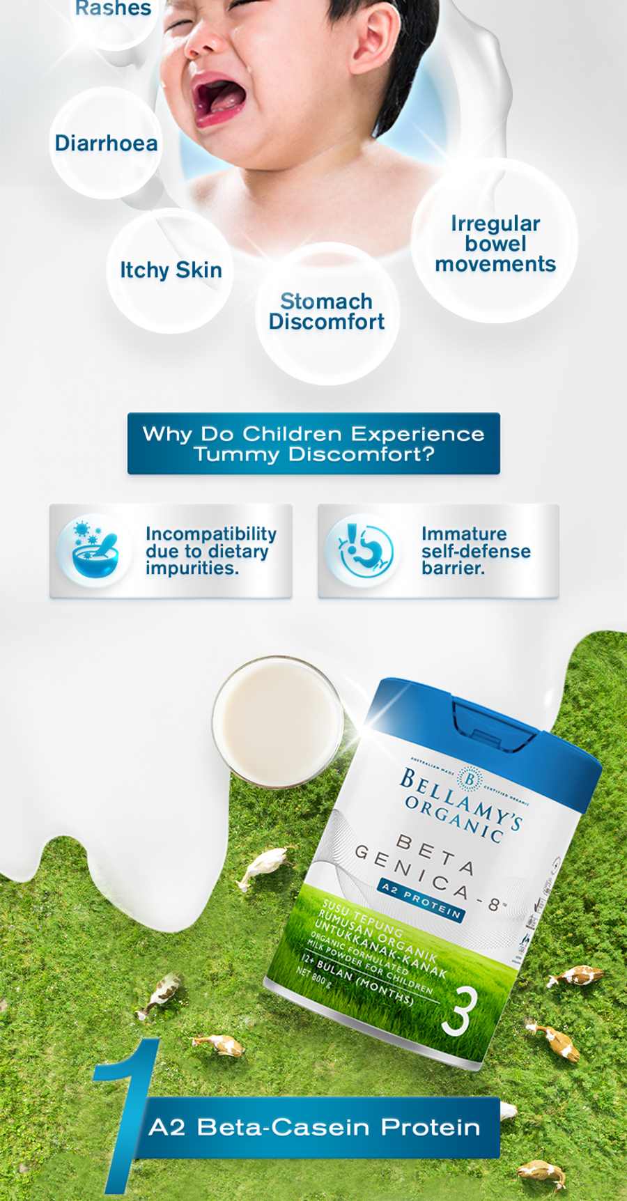 ベラミーズOrganic Beta Genica-8™ Step 3 Bellamy's Beta Genica-8 Toddler Milk Drink (Step 3) 800g - Alpro