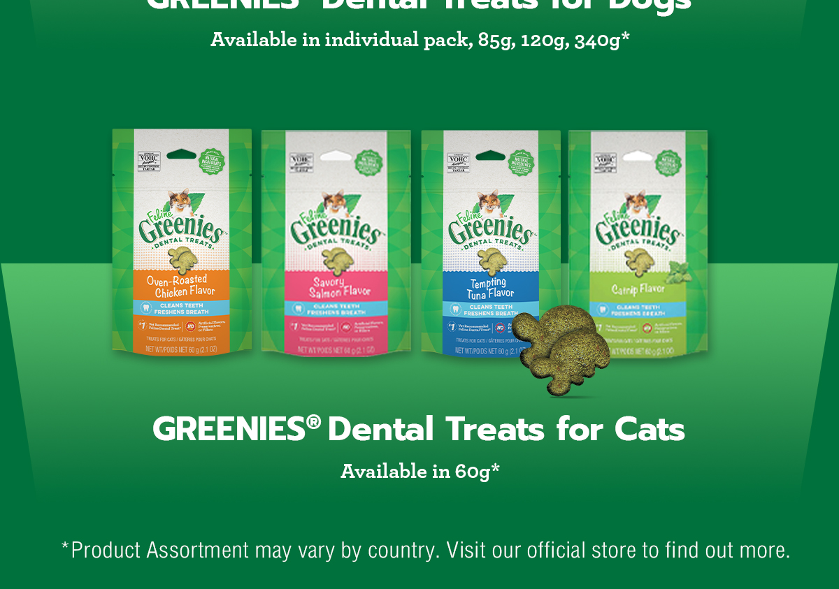 Greenies Feline Cat Treats – 60g – Chicken Flavor – Dental Health