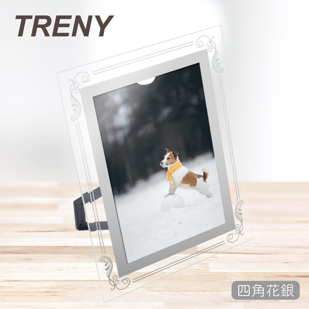 TRENY Classy Glass Frame for Photo size of 4R (Limited Stock Available ...