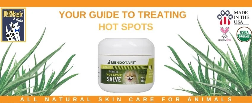 DERMagic Hot Spot Salve 55g Dog Skin Care Shopee Malaysia