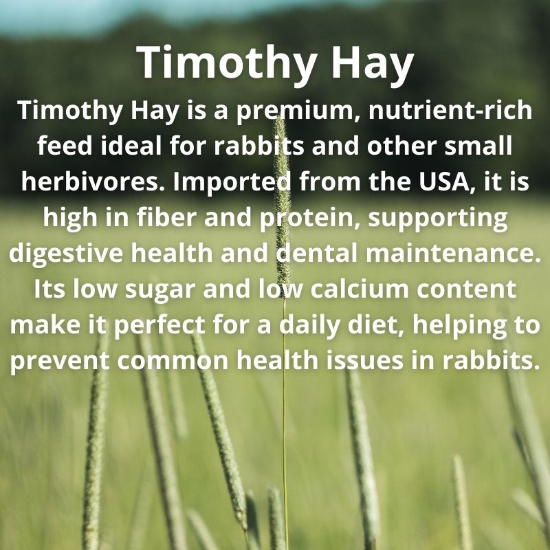 Timothy Hay 2nd Cut Rabbit Food Timoty Hay Bunny thimothy Hays Makanan ...